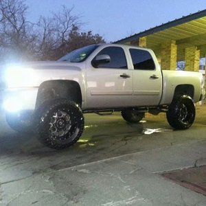 Meet your Posher, Oscar